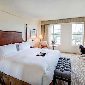 Junior King Suite Sofa Bed City View